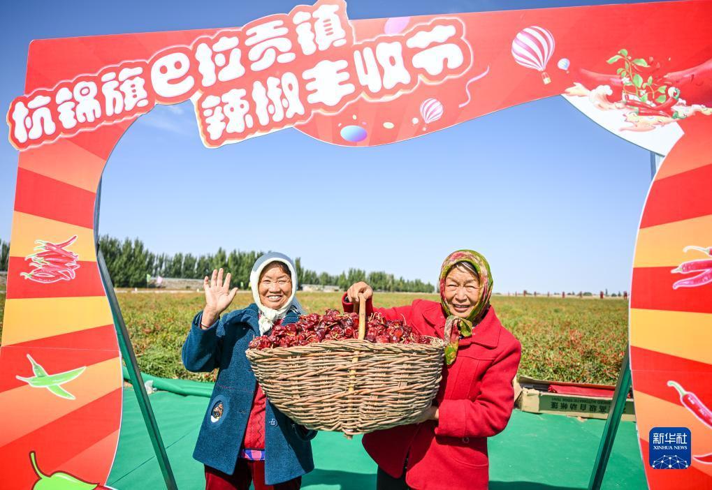 博悦平台登录网站